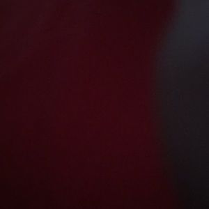 Meet your Posher, Monique